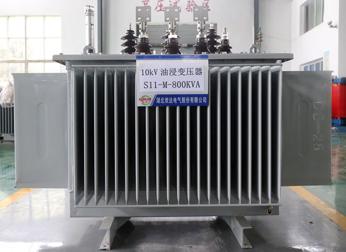 10kV油浸變壓器S11-M-800KVA